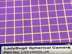 LadyBug2 IEEE-1394 FireWire Digital 360-Degree Spherical Camera LD2-HICOL-25