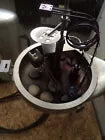 eybold univex 300 vacuum chamber with stainless steel bell jar