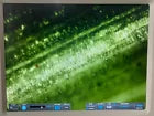 Life Invitrogen Thermo EVOS XL AME3300 Digital Inverted Imaging Microscope